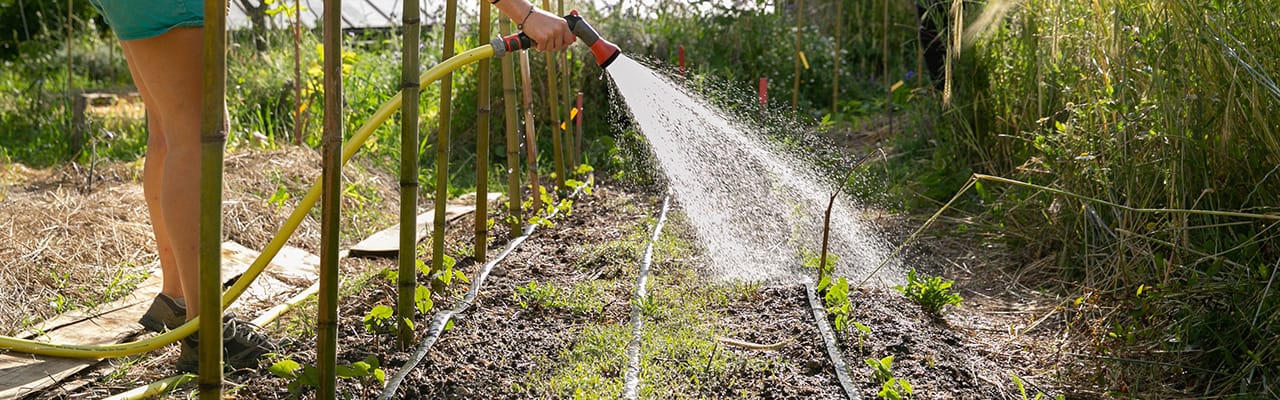 Préserver la ressource en eau au jardin