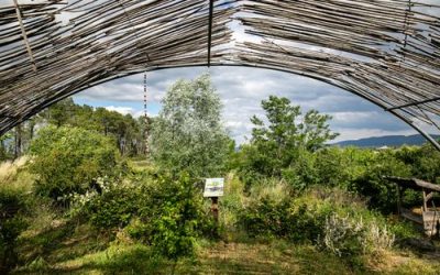 Un potager agroécologique à l’approche de l’automne