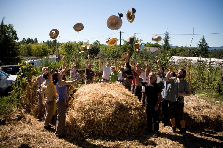 Formation et stage permaculture agroécologie