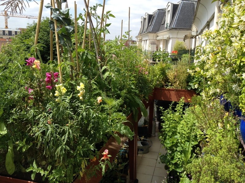 Faire son potager-balcon en permaculture ! Interview d'Hervé Chabert