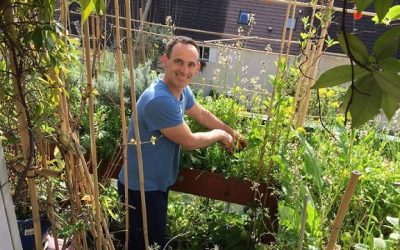 Faire son potager-balcon en permaculture ! Interview d’Hervé Chabert