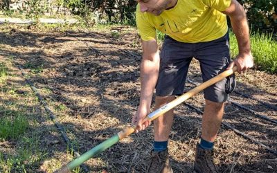 La boîte à outils du jardinier écolo